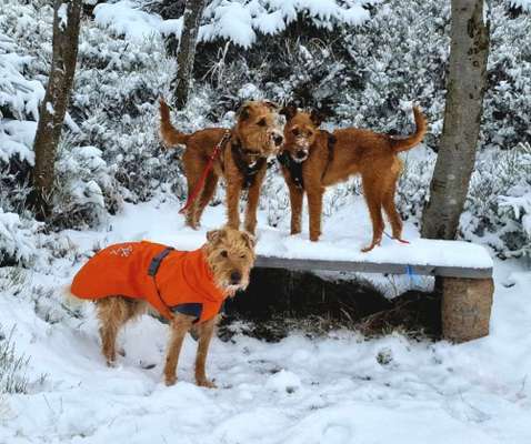 21. Farben / Foto Challenge - Neon / Leuchtfarben-Beitrag-Bild