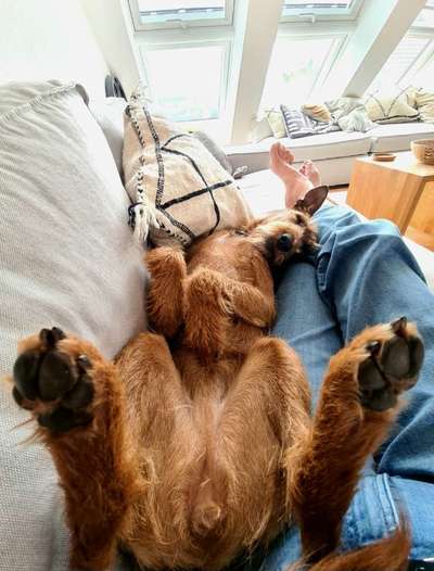 Foto-Challange: Schmuse-/Kuschel-/Ruhemodus-Beitrag-Bild