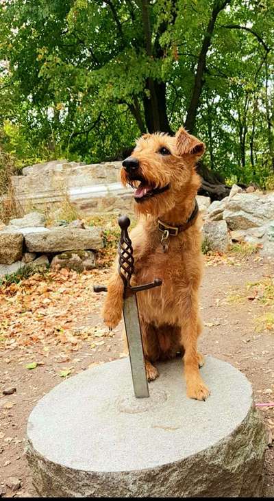 82. Foto Challenge: Skulptur/ Denkmal-Beitrag-Bild