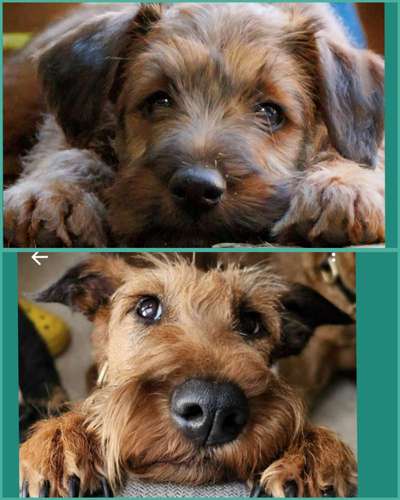 Ach, wie schnell die Zeit vergeht-Beitrag-Bild