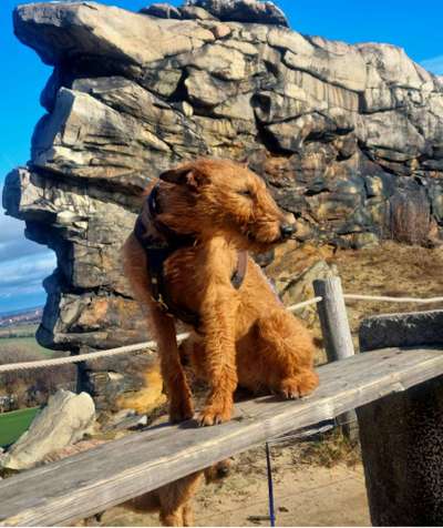 Dogorama Photo Challenge - Bänke-Beitrag-Bild