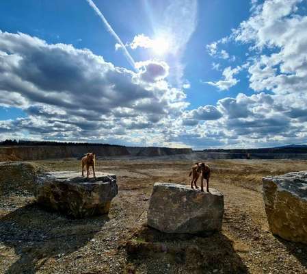 156. Fotochallenge *** DEIN HUND UND DIE WUNDERSCHÖNEN WOLKEN ***-Beitrag-Bild