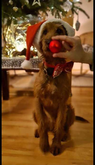 19. Farben  Fottochallenge :
Lieblingsfarbe-Beitrag-Bild