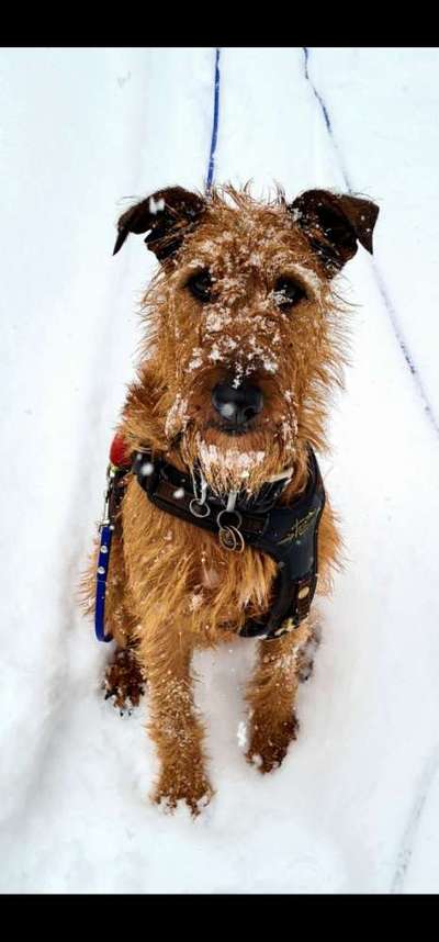 34. Farben-Challenge: Punkte - Punkte - Pünktchen-Beitrag-Bild