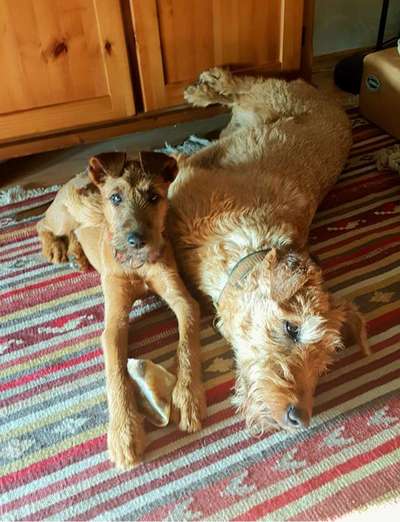 Lieblingsbild-Beitrag-Bild