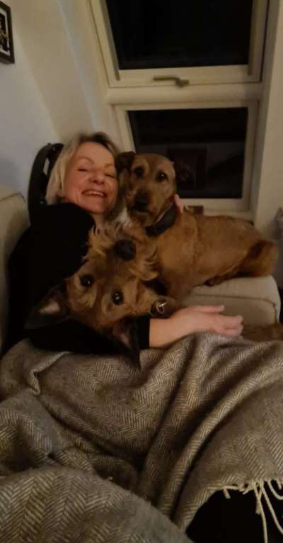 85. Foto Challenge : Schosshund-Beitrag-Bild