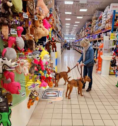 30. Farben Challenge - Pink-Beitrag-Bild