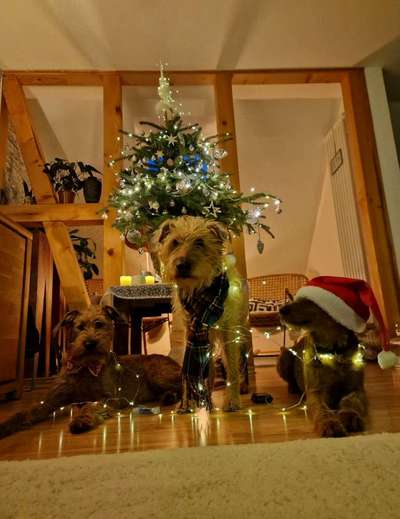 29. Farben Foto Challenge -
Silber glänzend.-Beitrag-Bild