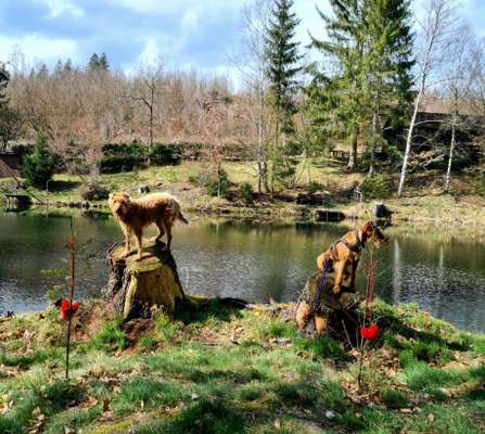 67. Handy Foto Challenge: Rotes Herz-Beitrag-Bild