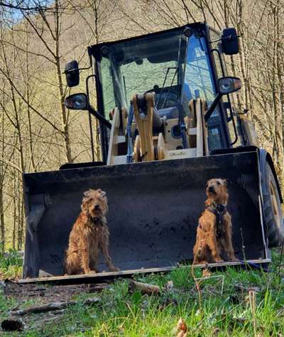 56. Handy Foto Challenge - Grosse Maschinen-Beitrag-Bild