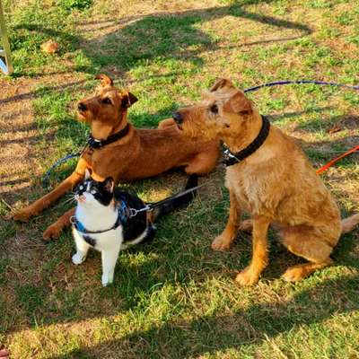 147. Foto Challenge: Bettelblick-Beitrag-Bild