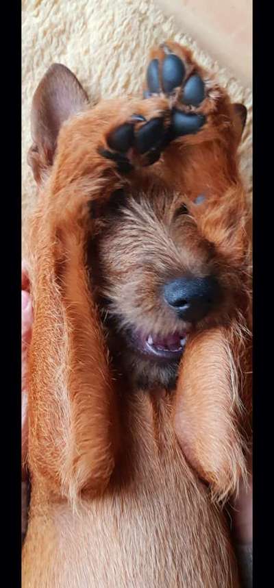 Lieblingsbild-Beitrag-Bild