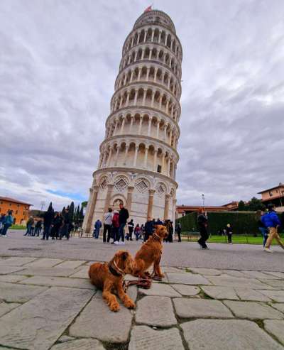 151. Photo Challenge: Sehenswürdigkeiten-Beitrag-Bild