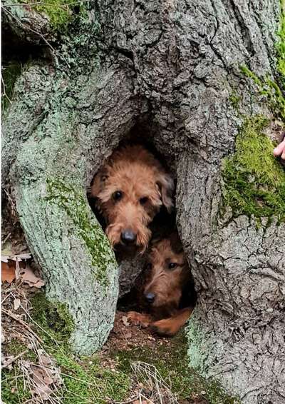 80. Foto  Challenge - Versteckt/ in einer Höhle-Beitrag-Bild