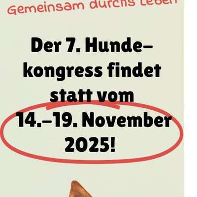 aktuelles Foto Gruppe Kostenlose Webinare, Kurse und Challenges