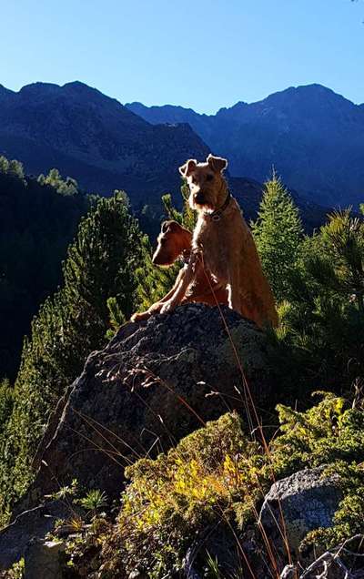 155. FotoChallange * David und Goliath *-Beitrag-Bild