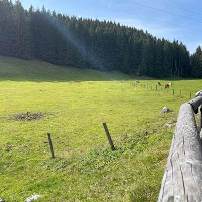 Titelbild Gruppe Ausflugsziele mit Hund