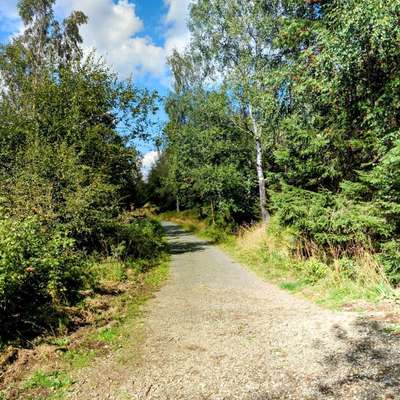 Empfohlene Wanderungen Harzer Gebirge-Beitrag-Bild