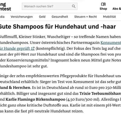 Gutes Hundeshampoo-Beitrag-Bild