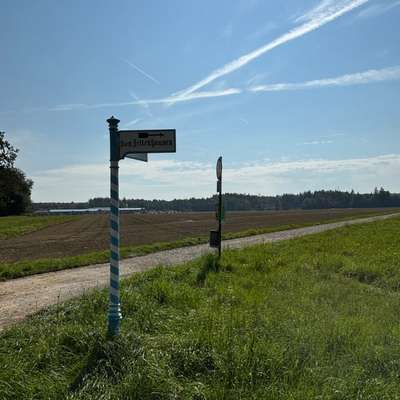 aktuelles Foto Gruppe Ausflugsziele mit Hund