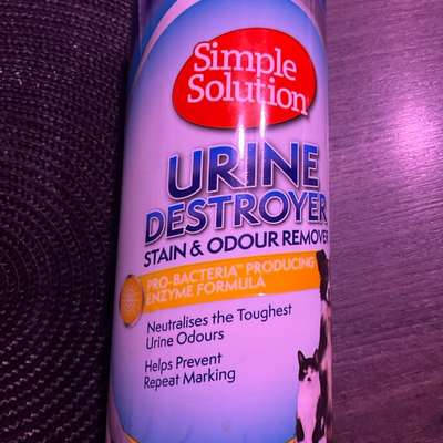 Teppich reinigen-Beitrag-Bild