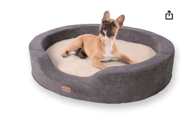 Hundebett mit waschbarem Innenleben gesucht-Beitrag-Bild
