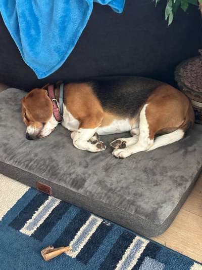 Schlafposition-Beitrag-Bild