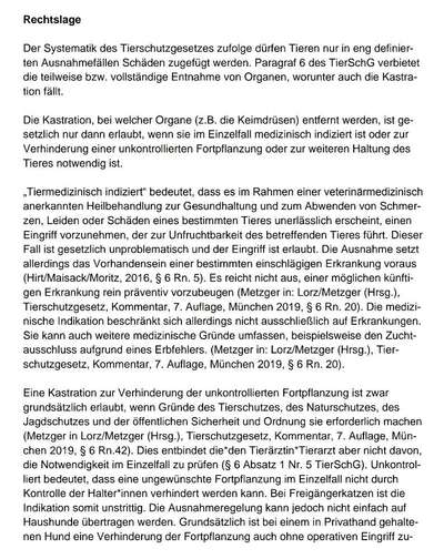 Vorsorgeultraschall bei Hündin wegen Gebärmutterentzündung-Beitrag-Bild