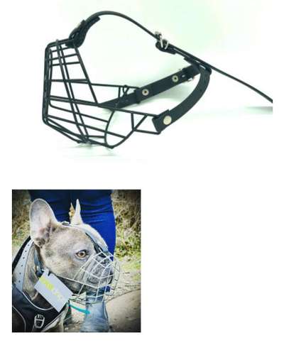 Brachycephale Hunderassen-Beitrag-Bild