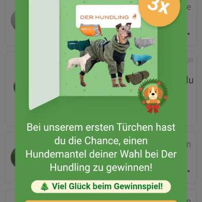 Dogorama Adventskalender-Beitrag-Bild