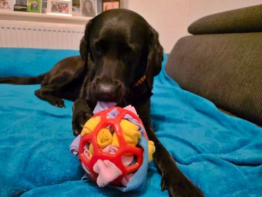 Was hat euch heute gefreut?-Beitrag-Bild