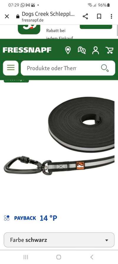 Flexileine am Halsband?-Beitrag-Bild