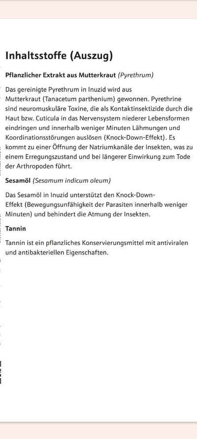 Floh/Zecken Schutz-Beitrag-Bild