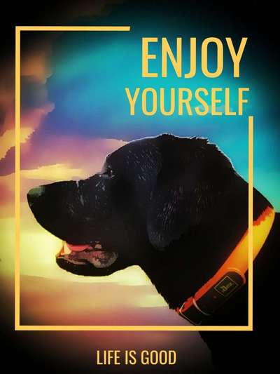 Photoshop und Co.-Beitrag-Bild