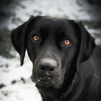Schönen welt Frauen Tag !:)-Beitrag-Bild