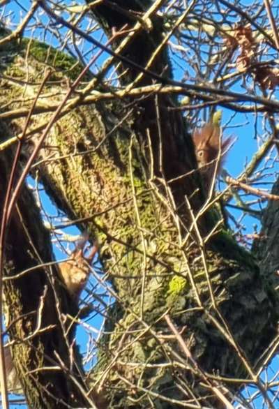 Was hat euch heute gefreut?-Beitrag-Bild