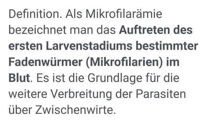 Nach Entwurmung krank-Beitrag-Bild