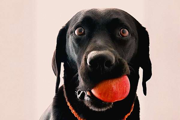 Was hat euch heute gefreut?-Beitrag-Bild