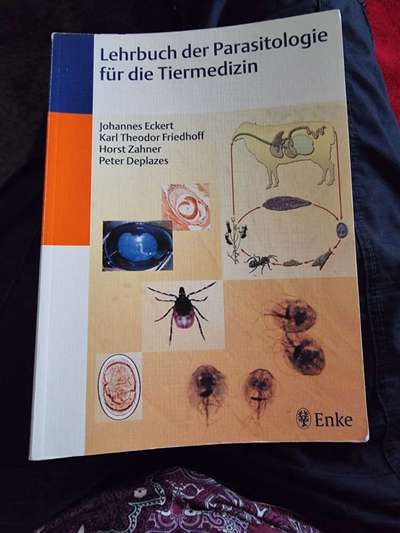 Wird zu selten entwurmt? Wurmbefall bei Hunden in Deutschland-Beitrag-Bild