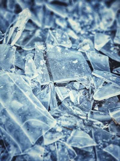 Die wunderschöne Welt mit Hund.-Beitrag-Bild