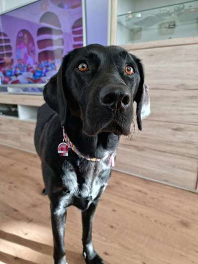 adressanhänger-Beitrag-Bild