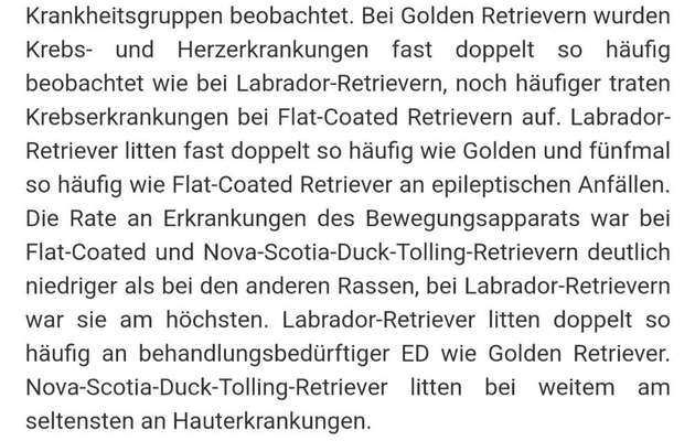 Welche Rasse kann man noch mit guten Gewissen kaufen?-Beitrag-Bild