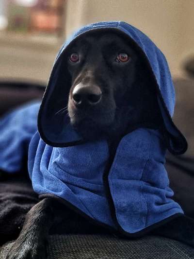 Was hat euch heute genervt?-Beitrag-Bild