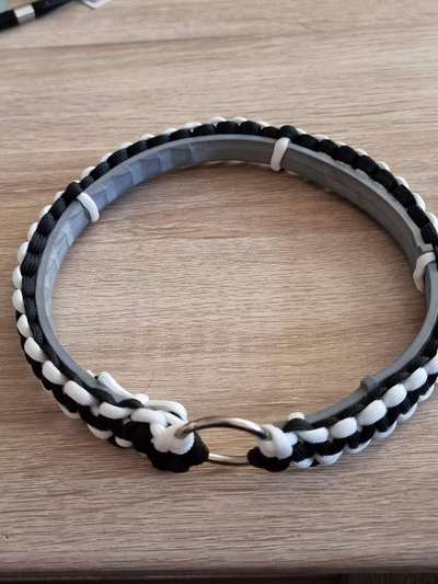 Seresto Halsband Anwendung-Beitrag-Bild