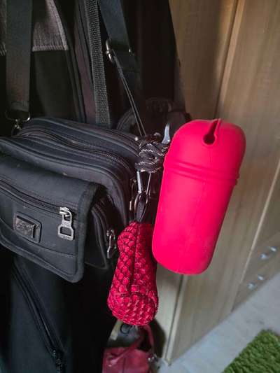 😲 Hundekot gegen Cash: Geniale Idee oder totaler Quatsch?-Beitrag-Bild