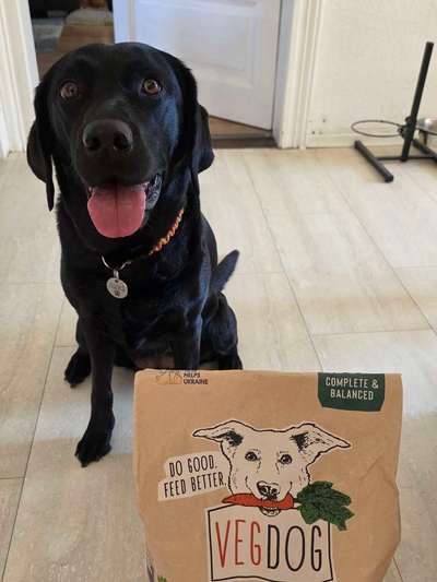 Was hat euch heute gefreut?-Beitrag-Bild