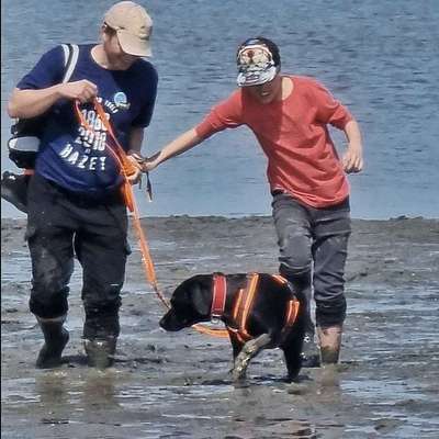 Hundeurlaub In Deutschland-Beitrag-Bild