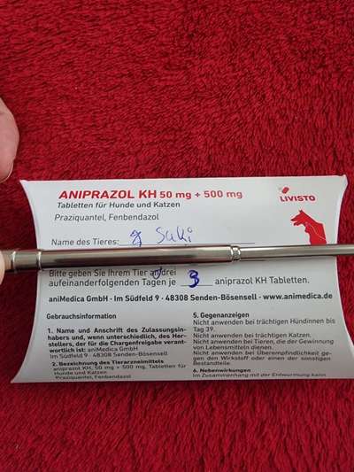 Wird zu selten entwurmt? Wurmbefall bei Hunden in Deutschland-Beitrag-Bild