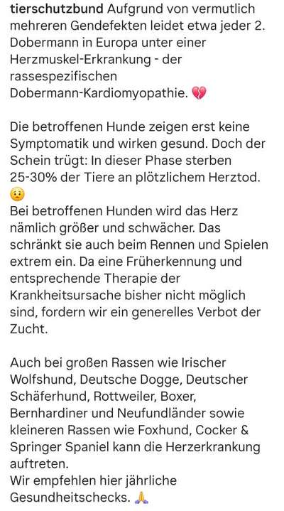 Qualzucht - Warum Aufklärung alleine nicht reicht-Beitrag-Bild