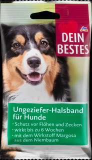 Erbrechen nach Zeckenhalsband-Beitrag-Bild